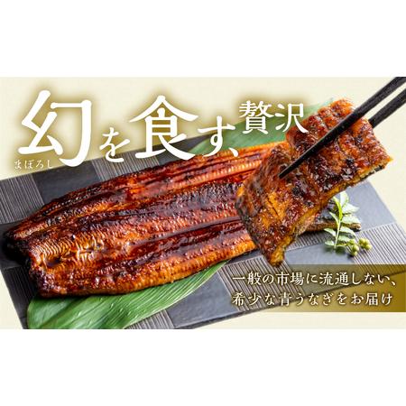 ふるさと納税 最高級 特上 幻の青うなぎ 40尾 うなぎ 愛知県田原市_1