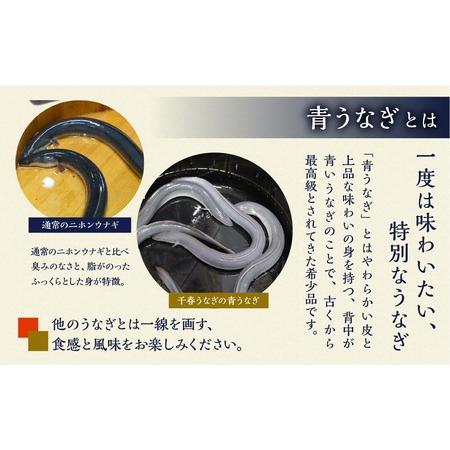 ふるさと納税 最高級 特上 幻の青うなぎ 40尾 うなぎ 愛知県田原市_2