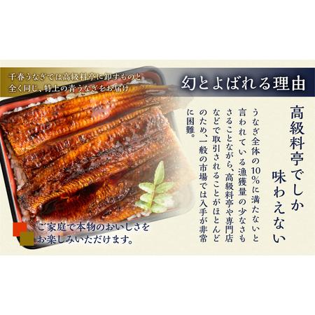 ふるさと納税 最高級 特上 幻の青うなぎ 40尾 うなぎ 愛知県田原市_3