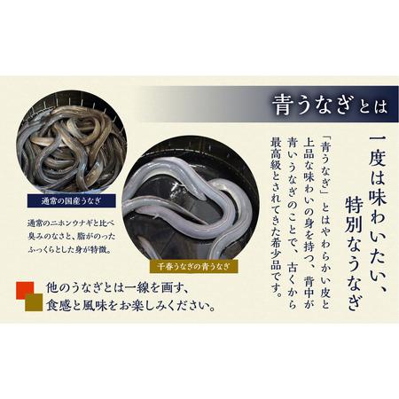 ふるさと納税 厳選 高級 幻の青うなぎ 蒲焼 2尾 全3回 定期便　合計6尾　 | 国内において幻とも称される「青うなぎ」のみをお届け ? 食感・風味.. 愛知県田原市｜furunavi｜03