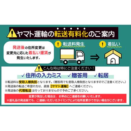ふるさと納税 【復興支援 数量限定】東峰村公認キャラクター「とほっぴ」の大きなぬいぐるみ AE2 福岡県東峰村の画像