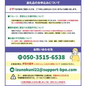 ふるさと納税 Pero（ペロ）M【キャメル】 静岡県伊豆の国市の画像