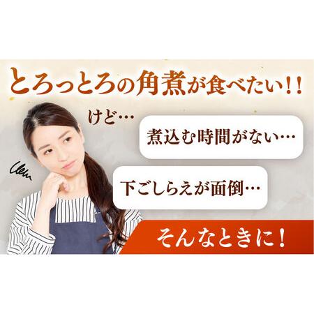 ふるさと納税 国産 豚角煮 4袋 [ADAE009] 角煮 豚の角煮 小分け 常温 福岡県桂川町の画像