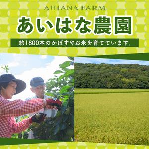 ふるさと納税 ＜先んずる取って置く受け付け中！2026年8月上旬今後順次送りとどける申し合わせ＞露地カボス(約14kg)かぼす カボス 柑橘 特産品 少なからず県産【107100903】【あいは.. 少なからず県宇佐市