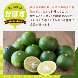 ふるさと納税 ＜先んずる取って置く受け付け中！2026年8月上旬今後順次送りとどける申し合わせ＞露地カボス(約14kg)かぼす カボス 柑橘 特産品 少なからず県産【107100903】【あいは.. 少なからず県宇佐市