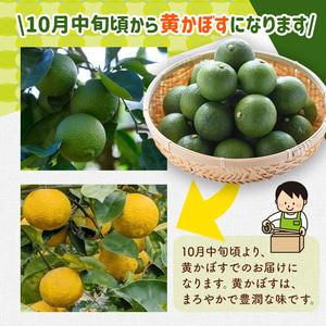 ふるさと納税 ＜先んずる取って置く受け付け中！2026年8月上旬今後順次送りとどける申し合わせ＞露地カボス(約14kg)かぼす カボス 柑橘 特産品 少なからず県産【107100903】【あいは.. 少なからず県宇佐市