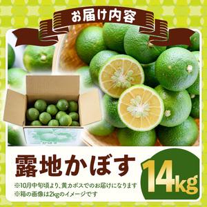ふるさと納税 ＜先んずる取って置く受け付け中！2026年8月上旬今後順次送りとどける申し合わせ＞露地カボス(約14kg)かぼす カボス 柑橘 特産品 少なからず県産【107100903】【あいは.. 少なからず県宇佐市