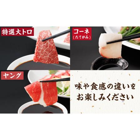 ふるさと納税 【6回定期便】馬刺し 特盛！バラエティセット 6種類 5・6人前 ＋タレ大【馬刺しの郷 民守】  馬肉 熊本県 特産品 馬刺し [ZBL077] 熊本県山鹿市の画像