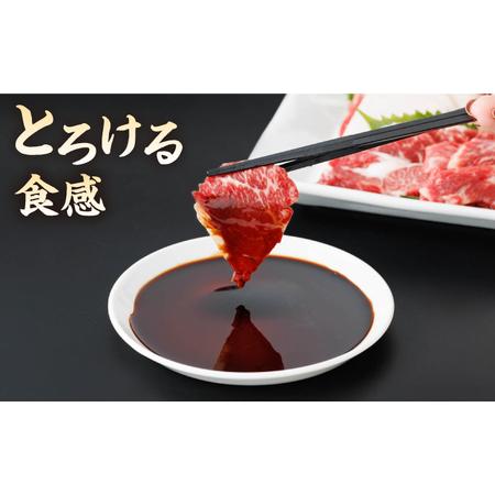 ふるさと納税 【6回定期便】馬刺し 特盛！バラエティセット 6種類 5・6人前 ＋タレ大【馬刺しの郷 民守】  馬肉 熊本県 特産品 馬刺し [ZBL077] 熊本県山鹿市の画像