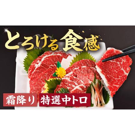 ふるさと納税 【12回定期便】馬刺し バラエティセット 3種類 3・4人前 ＋タレ小【馬刺しの郷 民守】 馬肉 熊本県 特産品 馬刺し [ZBL104] 熊本県山鹿市の画像