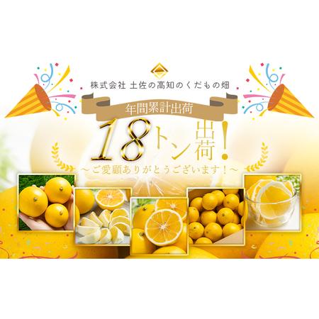 ふるさと納税 【2026年出荷分】日向夏 ハウス小夏 2.5kg(家庭用) 日向夏 高知県産 kd-0029 高知県香南市_1