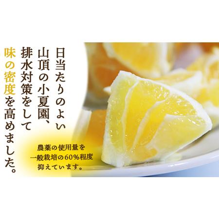 ふるさと納税 【2026年出荷分】日向夏 ハウス小夏 2.5kg(家庭用) 日向夏 高知県産 kd-0029 高知県香南市_2