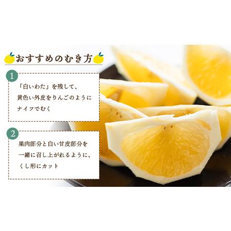 ふるさと納税 【2026年出荷分】日向夏 ハウス小夏 2.5kg(家庭用) 日向夏 高知県産 kd-0029 高知県香南市_4