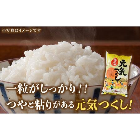 ふるさと納税 【先行予約】【令和7年産】福岡県産ブランド米「元気つくし」無洗米 20kg (5kg×4袋)【2025年11月以降順次発送】 [ABDD006]  福岡県築上町_1