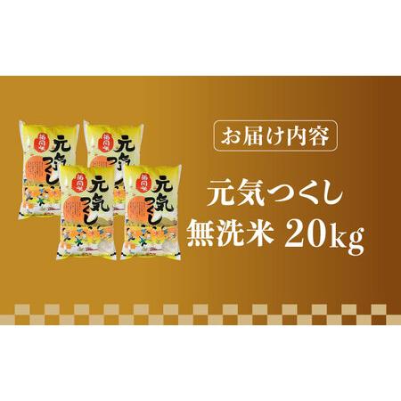 ふるさと納税 【先行予約】【令和7年産】福岡県産ブランド米「元気つくし」無洗米 20kg (5kg×4袋)【2025年11月以降順次発送】 [ABDD006]  福岡県築上町_4