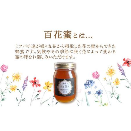 ふるさと納税 美濃蜂蜜 百花蜜 600g ディスペンサー 付き ギフトセット 【マンモスハウス合同会社】 はちみつ 非加熱 国産[TEW008] 岐阜県多治見市の画像