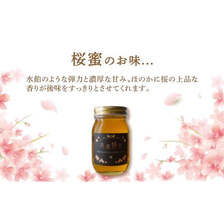 ふるさと納税 美濃蜂蜜 桜 600g ディスペンサー 付き ギフトセット 【マンモスハウス合同会社】 はちみつ 非加熱 国産[TEW009] 岐阜県多治見市の画像