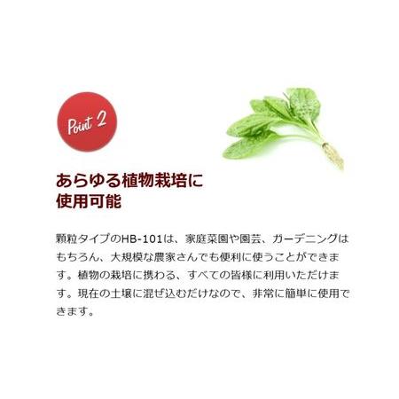 メンテ済み 美品 1/2 12インチ グリガ クリスティアン 2008年 GLIGA