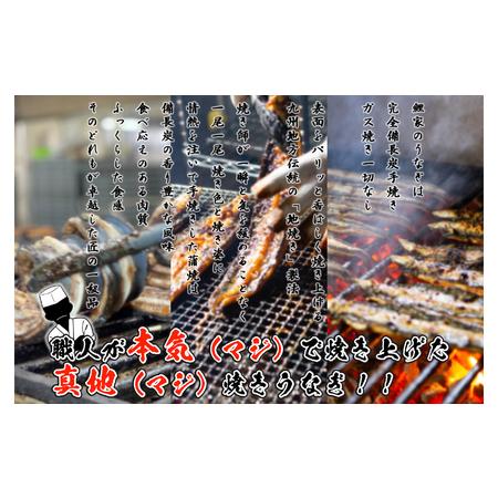 ふるさと納税 1723-2 【定期（全6回）】大人気！鯉家の絶品蒲焼「真地焼きうなぎ（2尾）」【国産・手焼き備長炭】 KN040-T04 魚 冷凍 鰻 鹿児島県鹿屋市_1