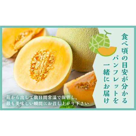 ふるさと納税 先行予約 ロピアメロン2玉 水野農園 2025年6月中旬 ふるさと納税 先行予約 ロピアメロン2玉 水野農園 2025年6月中旬