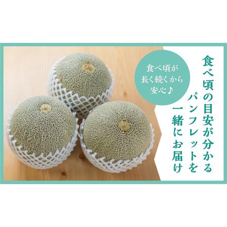 ふるさと納税 先行予約 ロピアメロン2玉 水野農園 2025年6月中旬 ふるさと納税 先行予約 ロピアメロン2玉 水野農園 2025年6月中旬