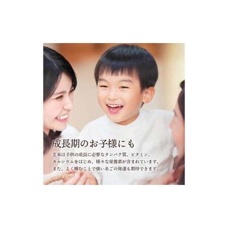 ふるさと納税 農薬・化学肥料不使用 発芽玄米ごはん 常温パック×18食(125g)  大分県九重町｜furunavi｜04