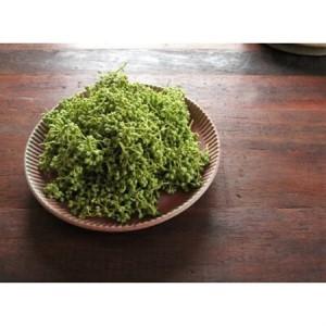ふるさと納税 熊野牛　ロースステーキ　600g(粉山椒付)【日高町】【配送不可地域：離島】【1218483】 和歌山県日高町