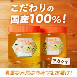 ふるさと納税 【北海道滝川産】高見養蜂場の純粋はちみつ(アカシヤ600g×2本)｜国産 日本製 天然 無添加 純粋 非加熱 生はちみつ ミツバチ .. 北海道滝川市の画像