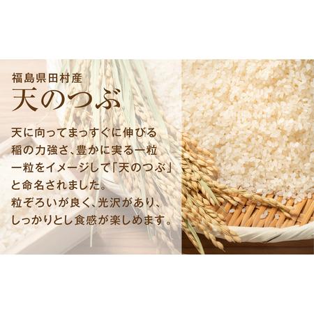 ふるさと納税 【令和5年産】田村産 天のつぶ10kg(5kg×2袋) お米 福島県 田村市 田村 贈答 美味しい 米 kome コメご飯  特Aランク  一等米 .. 福島県田村市｜furunavi｜02