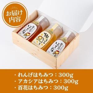 ふるさと納税 はちみつ 味わい旅 3本 セット( れんげ 300g、アカシア