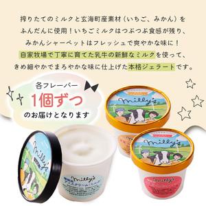 ふるさと納税 松本牧場アイス定期便（12個入り×2回）／ ジェラート アイスクリーム【Z060】 佐賀県玄海町の画像