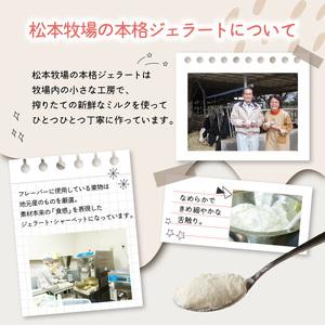 ふるさと納税 松本牧場アイス定期便（12個入り×2回）／ ジェラート アイスクリーム【Z060】 佐賀県玄海町の画像
