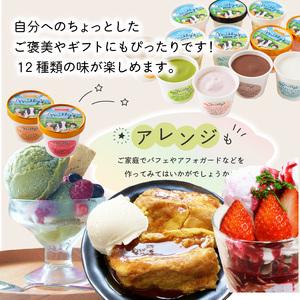 ふるさと納税 松本牧場アイス定期便（12個入り×2回）／ ジェラート アイスクリーム【Z060】 佐賀県玄海町の画像