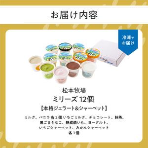ふるさと納税 松本牧場アイス定期便（12個入り×2回）／ ジェラート アイスクリーム【Z060】 佐賀県玄海町の画像