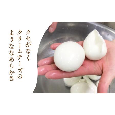 中川はちみつ工房 日本ミツバチのはちみつ 富永朝和 ［特製］ はちみつ