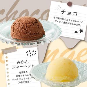 ふるさと納税 松本牧場アイス定期便（500ml×4個×2回）／ ジェラート アイスクリーム【Z064】 佐賀県玄海町の画像