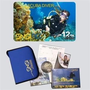 ふるさと納税 伊東・城ヶ崎の海で初級ダイビングライセンスが取得できる　2日コース_旅行券・チケット ダイビング 体験チケット   旅行券・チケ.. 静岡県伊東市_3