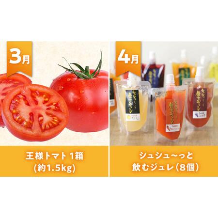 海外品 ふるさと納税 【全12回定期便】シュシュ大人気コース復刻版１ 大村市 おおむら夢ファームシュシュ[ACAA093] 長崎県大村市 【U1762050343】(62040円)