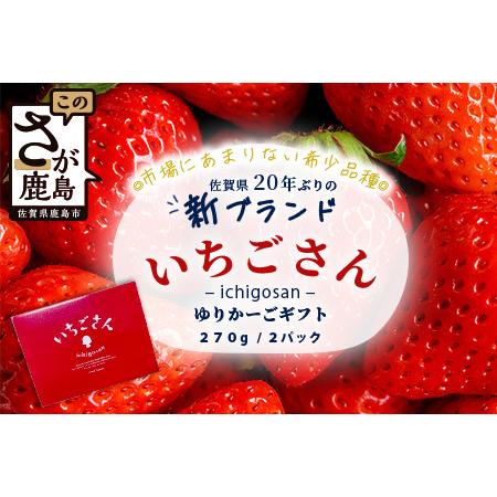 ふるさと納税 いちごさん ゆりかーごギフト[2026年1月上旬〜3月発送] B-728 佐賀県鹿島市