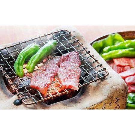 【２点セット】 ふるさと納税 【定期便6回】 肥後のあか牛 焼肉用 500g ( 熊本県産 和牛 ) 牛肉 あか牛 熊本県合志市 【TMF9372605004】(33000円)