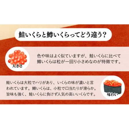 ふるさと納税 いくら醤油漬け 400g（100g×4P） C-695 佐賀県上峰町の画像