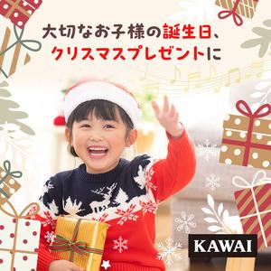 ふるさと納税 シロホン16S（KAWAI玩具1309-0） おもちゃ 雑貨 工芸品  静岡県浜松市の画像