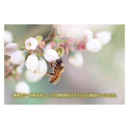 ふるさと納税 数量限定】季節で移ろう田舎はちみつボトル3種セット 各280g（ピタッとボトルB3）【茨城県共通返礼品／五霞町】 生ハチミツ 非加.. 茨城県水戸市の画像