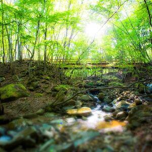 ふるさと納税 峰山高原ホテルリラクシア宿泊助成券2枚【1451029】 兵庫県神河町 