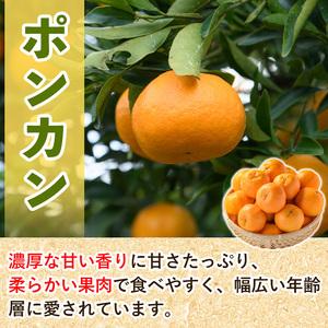 ふるさと納税 ＜先行予約受付中！2024年12月以降順次発送予定＞数量限定！ポンカン(約8kg）国産 ポンカン 柑橘 果物 フルーツ デザート 果実.. 鹿児島県阿久根市