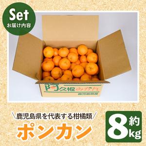 ふるさと納税 ＜先行予約受付中！2024年12月以降順次発送予定＞数量限定！ポンカン(約8kg）国産 ポンカン 柑橘 果物 フルーツ デザート 果実.. 鹿児島県阿久根市