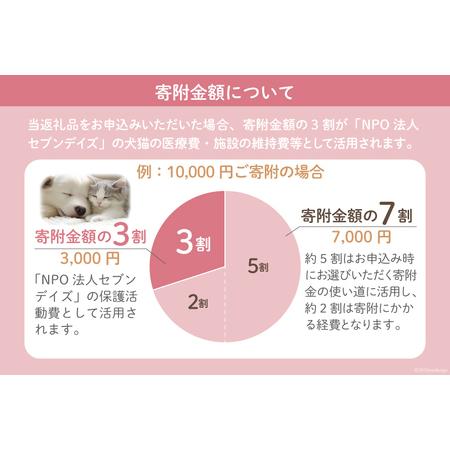 ふるさと納税 犬猫保護活動への支援 [NPO法人セブンデイズ 福岡県 筑紫野市 21760724] 保護 動物 犬 猫 犬猫 保護犬 支援 応援 福岡県筑紫野市｜furunavi｜02