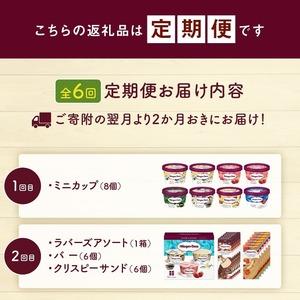 ふるさと納税 ＜全6回・隔月＞食べ比べ定期便！ハーゲンダッツ人気 セット アイス スイーツ デザート_H0016-178 北海道浜中町_2