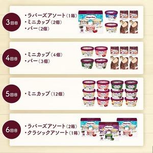 ふるさと納税 ＜全6回・隔月＞食べ比べ定期便！ハーゲンダッツ人気 セット アイス スイーツ デザート_H0016-178 北海道浜中町_3