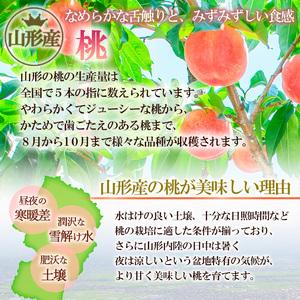 ふるさと納税 山形市産 和梨と桃[かため]セット 約3kg 【令和8年産先行予約】FS24-586 くだもの 果物 フルーツ 山形 山形県 山形市 2026年産 山形県山形市の画像